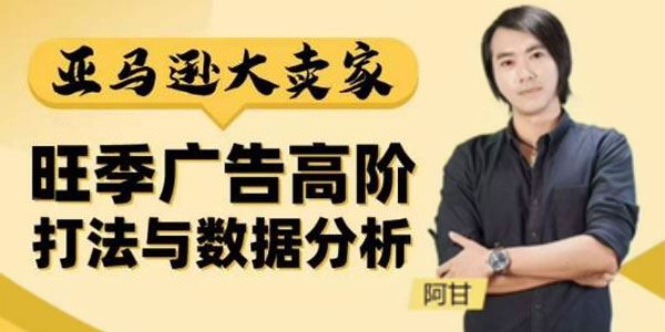 阿甘《亚马逊大卖家广告高阶打法与数据分析》 百度网盘下载