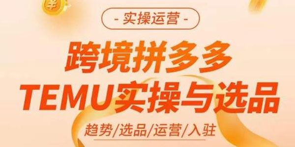 伍跃《跨境拼多多TEMU实操与选品》 百度网盘下载