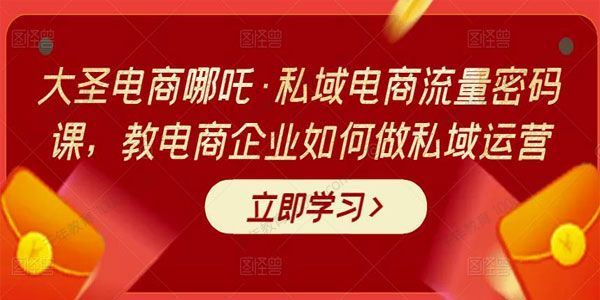 大圣电商哪吒《电商企业私域电商流量密码课》 百度网盘下载