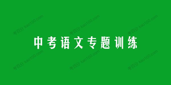 中考语文专题训练古诗词鉴赏名篇48份含答案解析 百度网盘下载