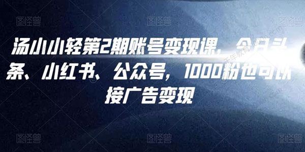 汤小小自媒体账号变现课第2期1000粉也可接广告