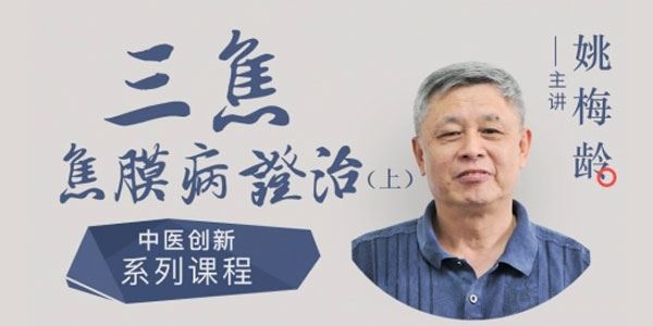 姚梅龄《三焦焦膜病证治》上 百度网盘下载