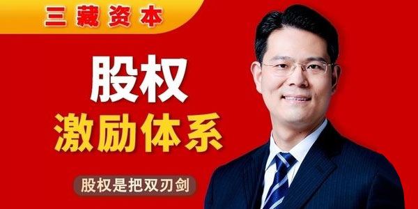 臧其超《股权激励体系》股权是把双刃剑 百度网盘下载