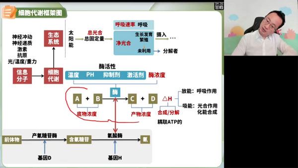 徐京 2024届高考高三生物春季班