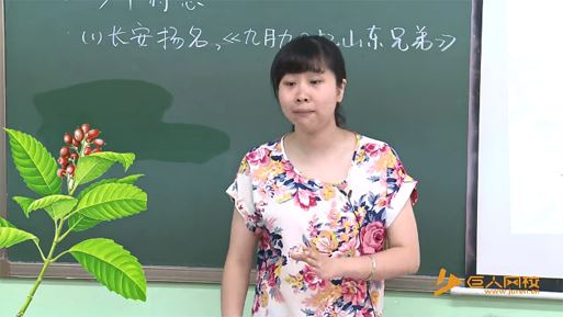 沪江网校小学大语文课程（115阶全集）[课件][]