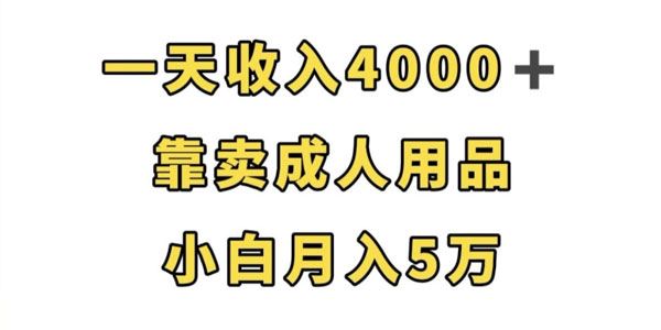 小白可操作卖成人用品项目：轻松月入数万 百度网盘下载