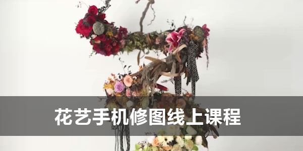 【香草山】花艺手机修图线上课程 百度网盘下载