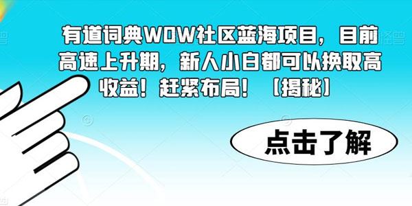 有道词典WOW社区蓝海项目：小白都可以换取高收益 百度网盘下载