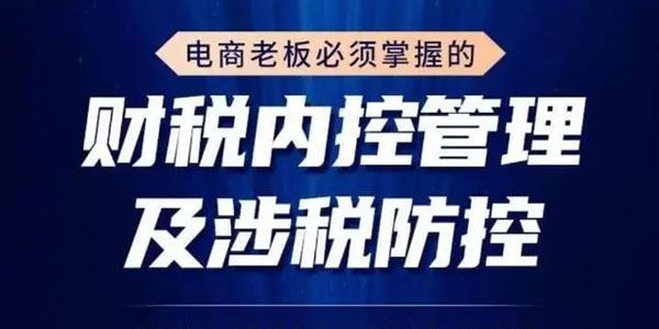 电商老板必须掌握的财税内控管理及涉税防控 百度网盘下载