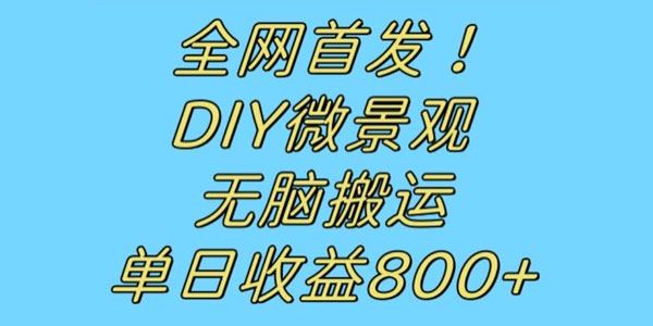 无脑搬运DIY微景观视频冷门赛道 百度网盘下载