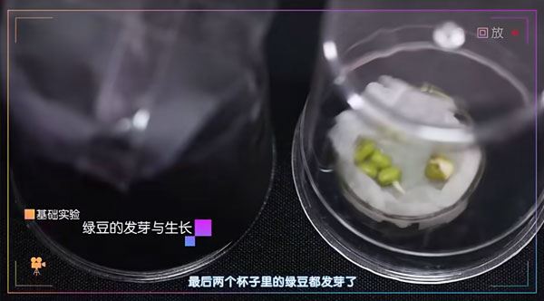 小象科学 小学五年级科学上下册同步课