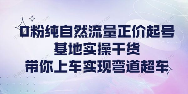 大付运营课：0粉纯自然流量正价起号