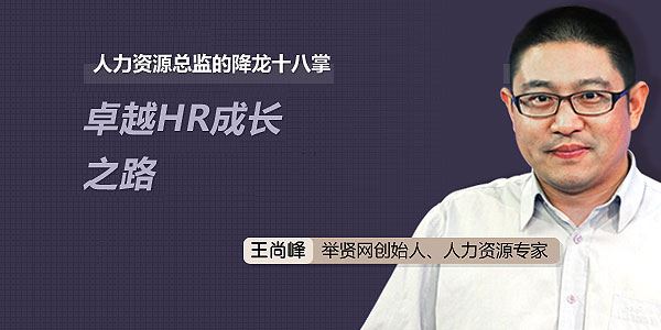 王尚峰人力资源总监的降龙十八掌:卓越HR成长之路