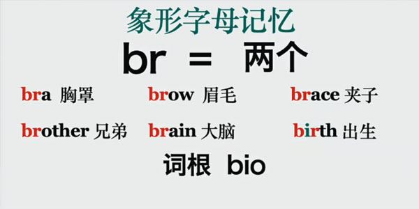 一堂上瘾的单词课：6000词频内拆解词根单词 百度网盘下载