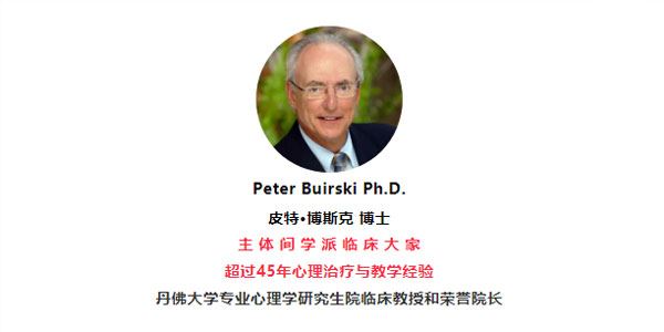 PeterBuirski主体间心理治疗理论与个案演示12讲