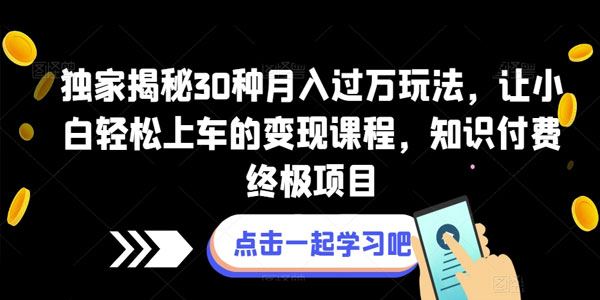 小白轻松上车的30种月入过万玩法 百度网盘下载