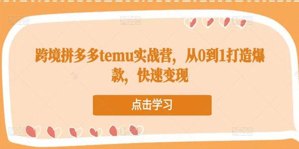 跨境拼多多temu实战营 从0到1打造爆款 百度网盘下载