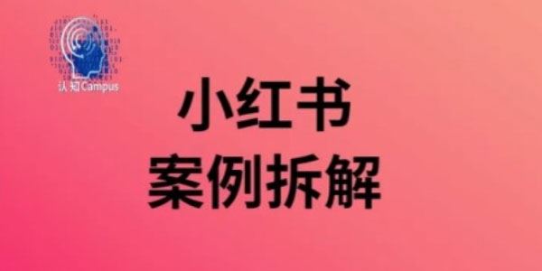 小红书案例拆解 深度解读小红书40万粉