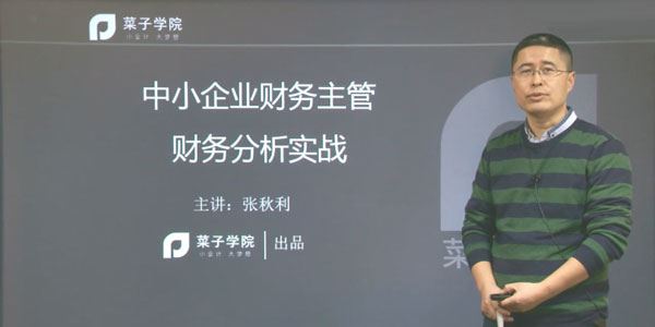 张秋利中小企业财务主管财务分析实战课程