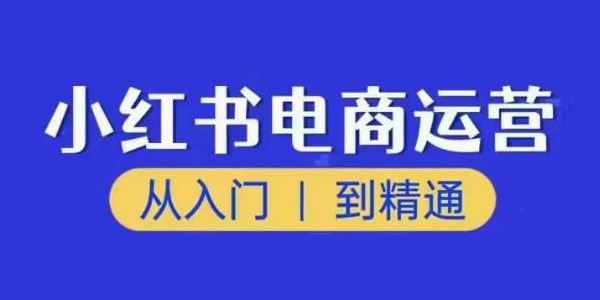 小红书电商运营从入门到精通训练营 百度网盘下载