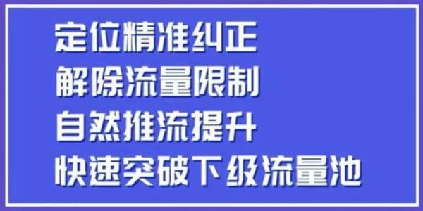 同城账号付费投放运营优化提升：极速突破下级流量池 百度网盘下载