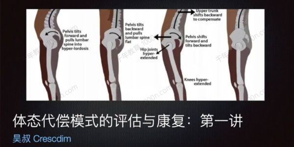 王昊全新体态矫正：体态评估与康复