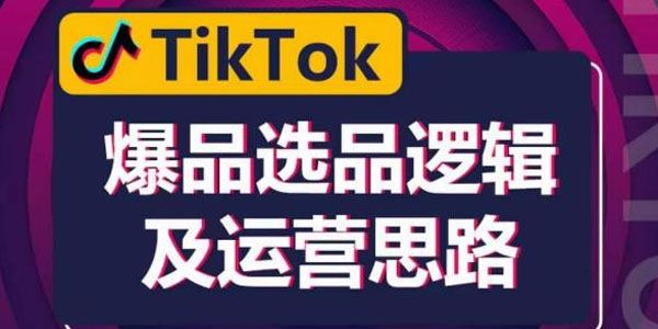 TikTok爆品选品逻辑及运营思路：快速入门TikTok 百度网盘下载