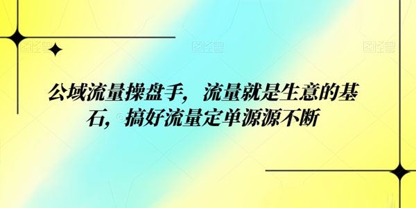 公域流量操盘手 流量就是生意的基石 百度网盘下载