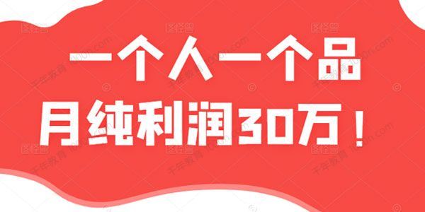 付费文章：一个人一个品月纯利润30万的蓝海电商经典案例[课件]