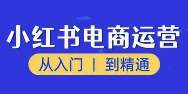 顽石小红书电商高阶运营课程 从入门到精通 百度网盘下载