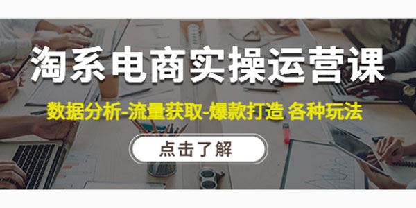 淘系电商实操运营课：数据分析流量获取爆款打造各种玩法 百度网盘下载