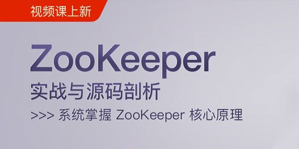 么敬国ZooKeeper实战与源码剖析