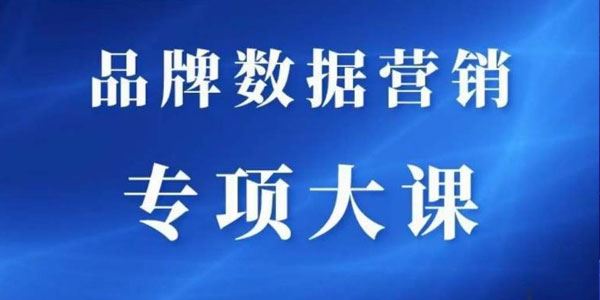 品牌医生《品牌营销数据分析课程》 百度网盘下载