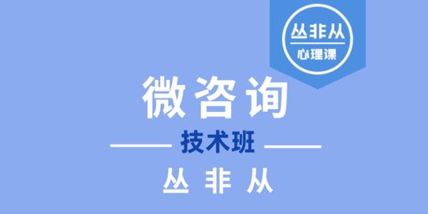 丛非从 微咨询技术班2023年课