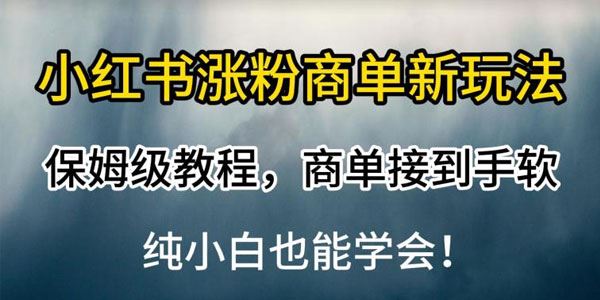 小红书涨粉商单保姆级教程 百度网盘下载