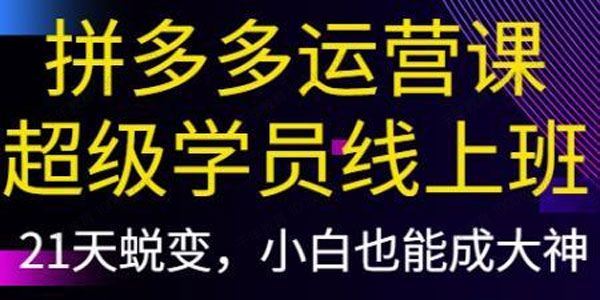 纪主任 拼多多运营课：超级学员21天蜕变线上班