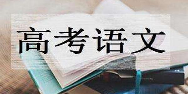 2020届高三语文黄金考点“测试、矫正1+1”押题卷