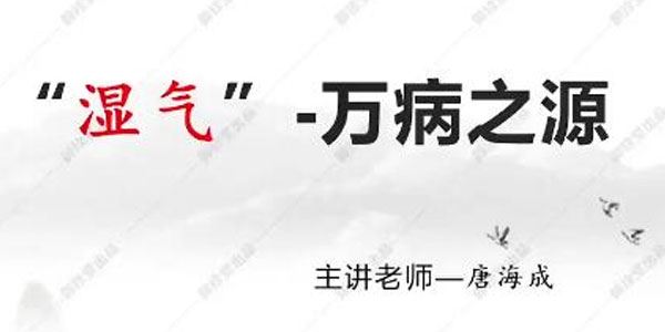 唐氏古中医唐海成：六合除湿疗法第1期 百度网盘下载