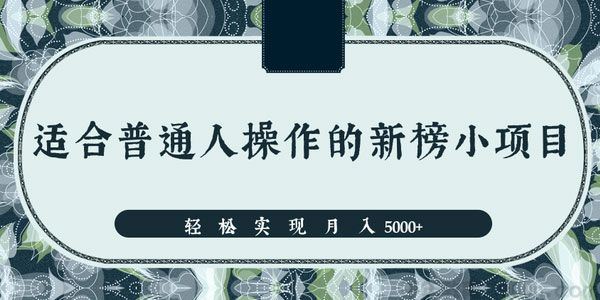 一个适合普通人操作的赚钱项目新手轻松实现月入5000+