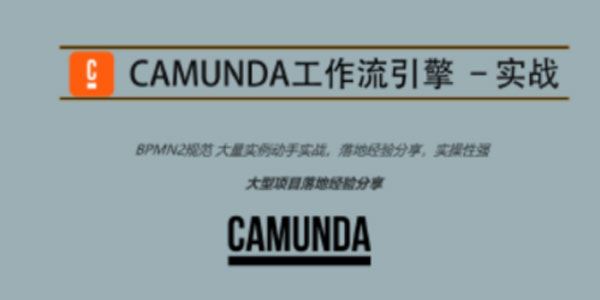 Camunda高级培训系列项目实战分享课