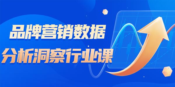 品牌营销数据分析洞察行业课