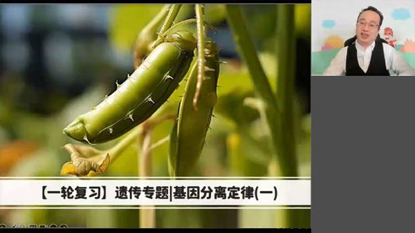 徐京 2024届高考高三生物2023年秋季班