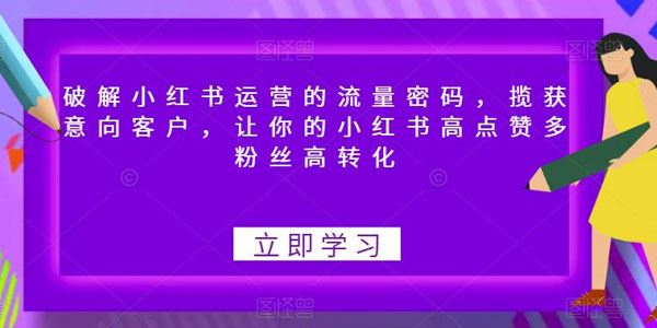 小红书运营的流量密码：高点赞多粉丝高转化 百度网盘下载