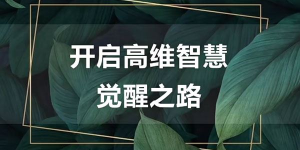 尤尤 七天心力修行课第二期