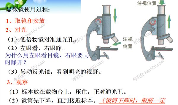 中考生物复习PPT课件[课件]