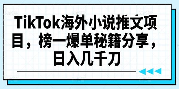 TikTok海外小说推文项目：榜一爆单秘籍