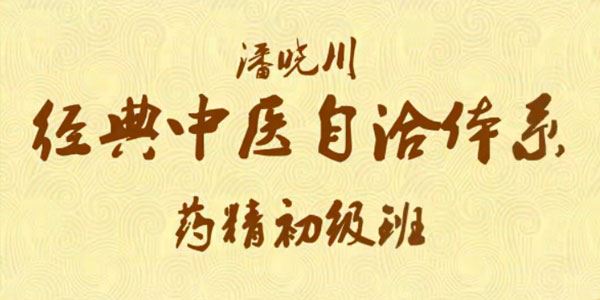 潘晓川 河图与经典中医自洽体系课程 百度网盘下载