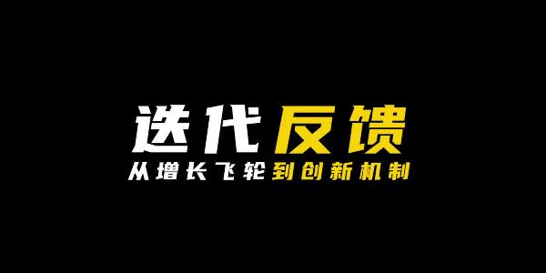 迭代反馈：从增长飞轮到创新机制 百度网盘下载