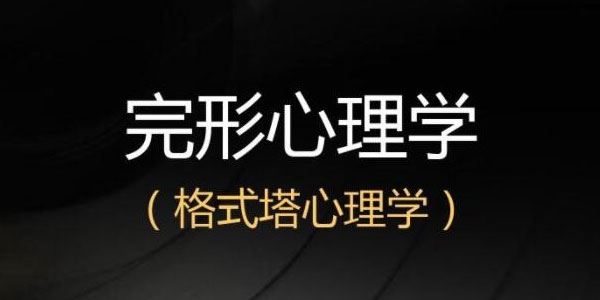 叶斌 格式塔完形心理治疗入门课 百度网盘下载