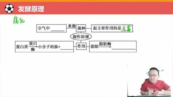 陈旭晨 高二生物下学期2024年春季班